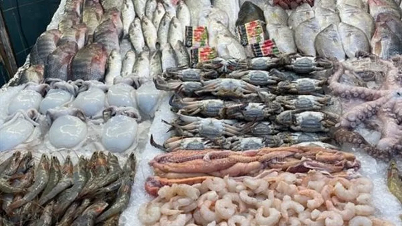 أسعار مذهلة.. سوق العبور يكشف أسعار الأسماك والجمبري اليوم